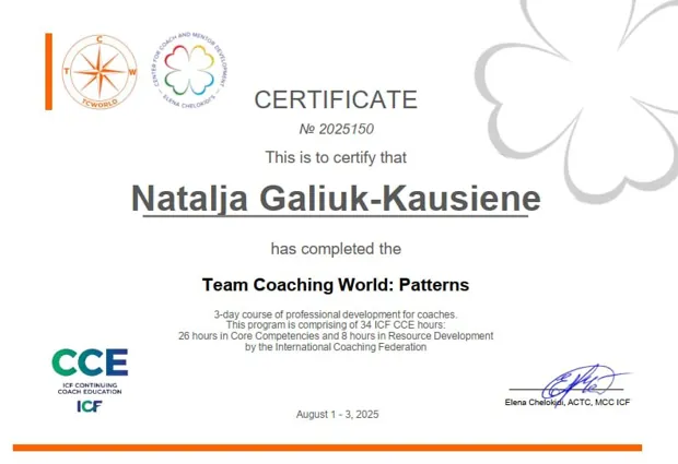 Team Coaching World: Patterns